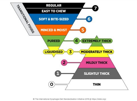 The International Dysphagia Diet Standardisation Initiative Iddsi
